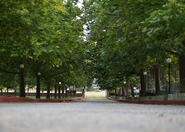 帕拉蒂诺酒店 阿菲托斯